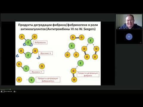 Видео: Фибринолиз и фибринолитики Афончиков В.С.