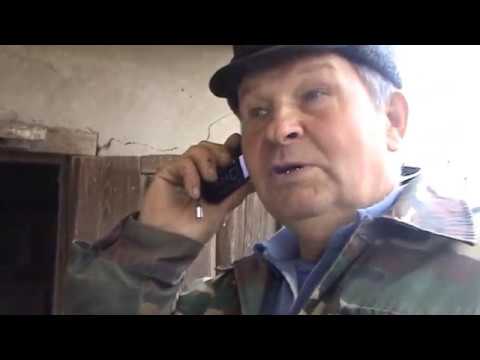 Видео: Голуби Медведя 1 часть