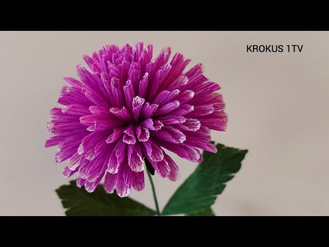 Видео: ХРИЗАНТЕМЫ из гофрированной бумаги Как сделать ЦВЕТОК  мастер класс/ DIY CREPE PAPER FLOWERS