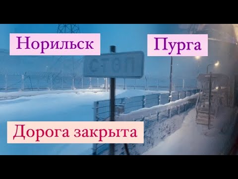 Видео: Норильск/В плену у непогоды/Как я добралась домой.