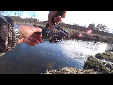 Видео: Ловля проворной форели в начале апреля. Smith D-contact 50S Type II, D-Compact 45S, Gravy-2 50F