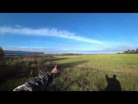 Видео: Охота в Ленинградской области сезон 2025-2026