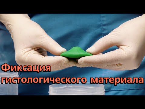 Видео: Фиксация гистологического материала
