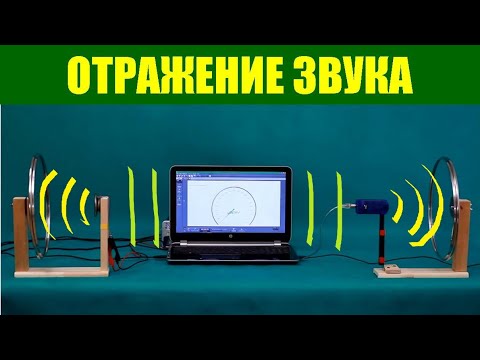 Видео: Отражение звука: эхо и эхолот