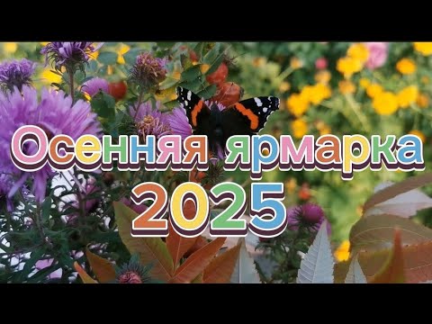 Видео: ЯРМАРКА 2025