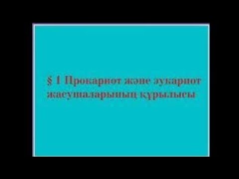 Видео: Прокариот және эукариот жасушаларының құрылысы.