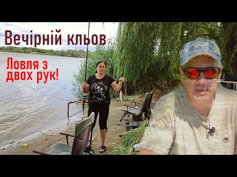 Видео: Вечірній кльов дійсно ВРАЗИВ..!!! 💥 Ловлю З ДВОХ РУК одночасно!!! 🐟 Fishing Video