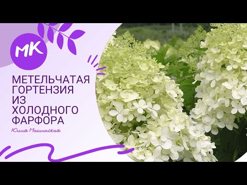 Видео: Метельчатая гортензия из холодного фарфора