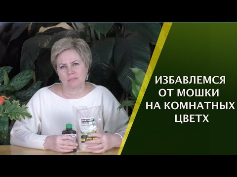 Видео: ДОМАШНЕЕ ЦВЕТОВОДСТВО: ИЗБАВЛЯЕМСЯ ОТ КОМАРИКА/МОШКИ!!!