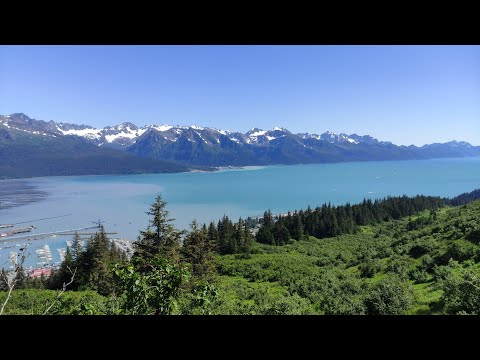 Видео: Работа на Аляске полный день . часть 16