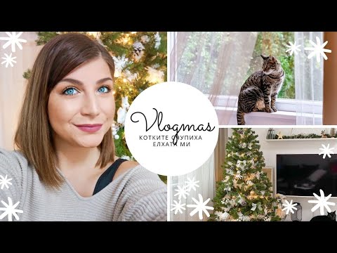 Видео: Котките ми СЧУПИХА Елхата | Влогмас Ден 14