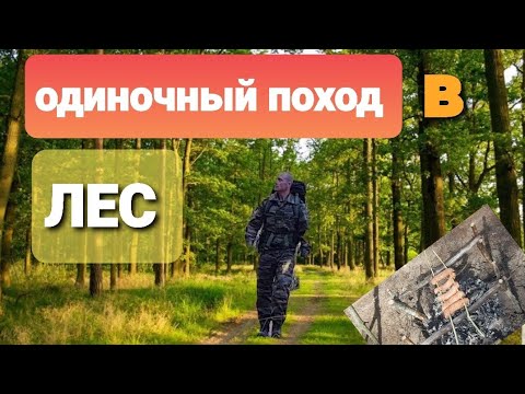 Видео: Одиночный поход в лес, приготовление пищи, отдых.