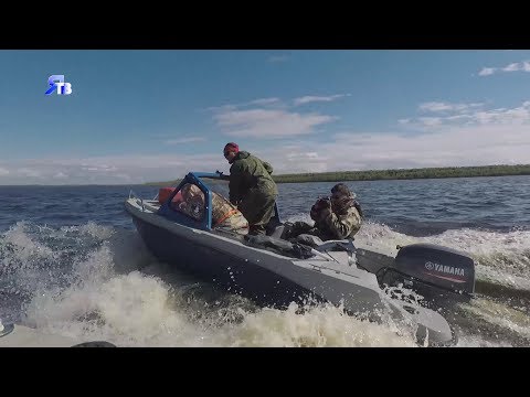 Видео: Тайны Мангазеи»