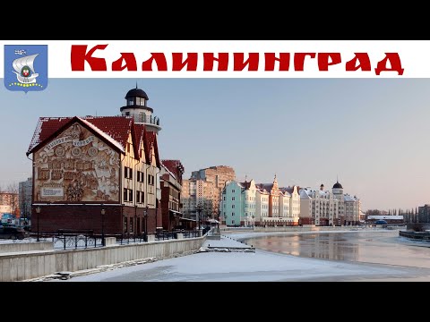 Видео: КАЛИНИНГРАД - Сказочный мир Эрнста Теодора Гофмана глазами обыкновенного Кота, Кролики и Марципан...