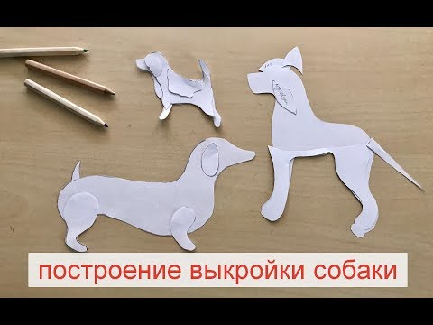 Видео: Построение выкройки собаки/3 разных техники