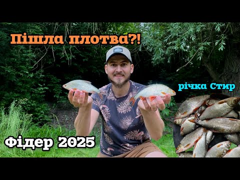 Видео: 🎣 Фідерна риболовля на річці Стир | Плотва активізувалась!