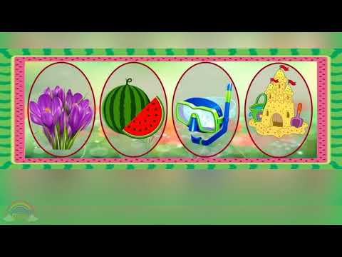 Видео: "ЩО ЗАЙВЕ?" ЛІТО - дидактична гра