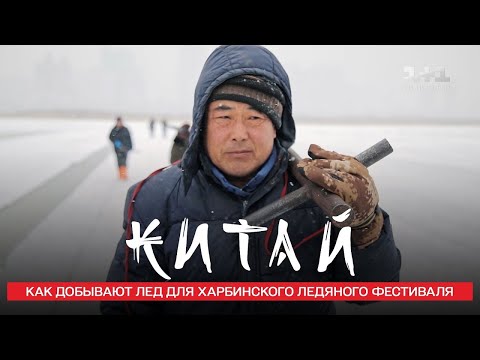 Видео: Как Дима Комаров в Харбине лёд добывал. Китай. Мир Наизнанку 10 сезон, 4 серия