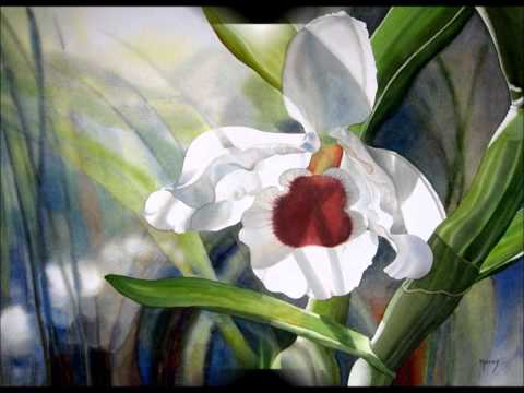 Видео: Лилу - Акварели