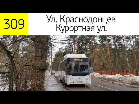 Видео: Автобус 309 "Ручейная ул. - Курортная ул." (Трасса изменена)