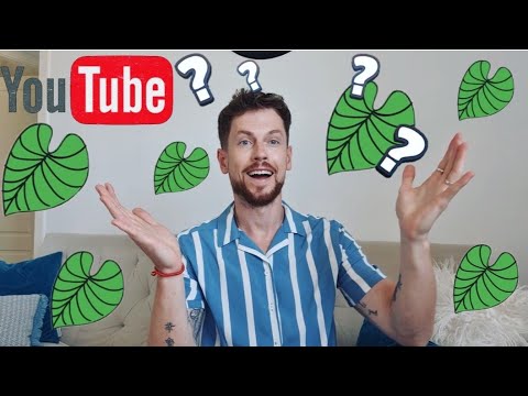 Видео: Цветочные новинки. Новые растения в коллекции. Лесные кактусы и не только.