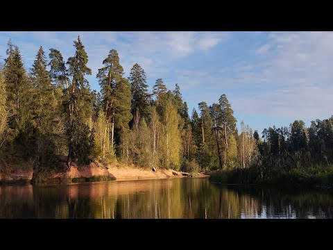 Видео: Осенний сплав по реке Оредеж