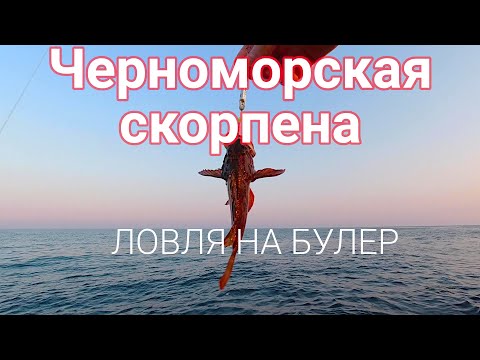 Видео: Ловля скорпены с берега в Черном море. Рыбалка в Болгарии. Скорпена с берега. Морская рыбалка.
