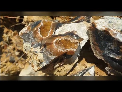 Видео: Калиновские Выселки. Поиск кристаллов аметиста, горного хрусталя, окаменелостей и СТРОМАТОЛИТОВ