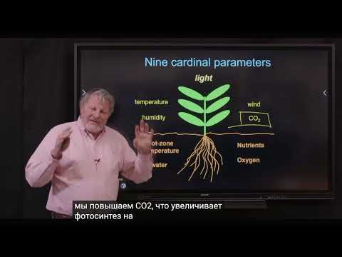 Видео: Брюс Багби  Секреты эффективности светодиодных ламп для выращивания в помещении.