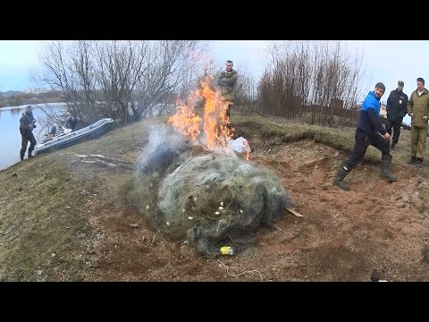 Видео: Борьба с браконьерами | Антибрак 2017