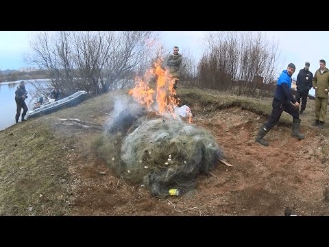 Видео: Борьба с браконьерами | Антибрак 2017