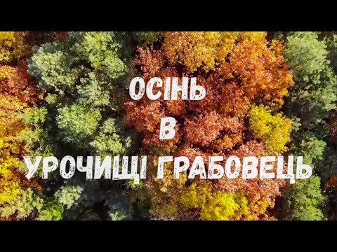 Видео: Осінь в урочищі Грабовець на Хрінницькому водосховищі