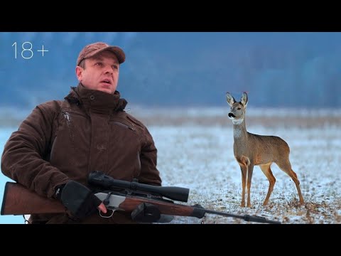 Видео: Загонная охота на КОСУЛЮ. 2000 косуль в хозяйстве