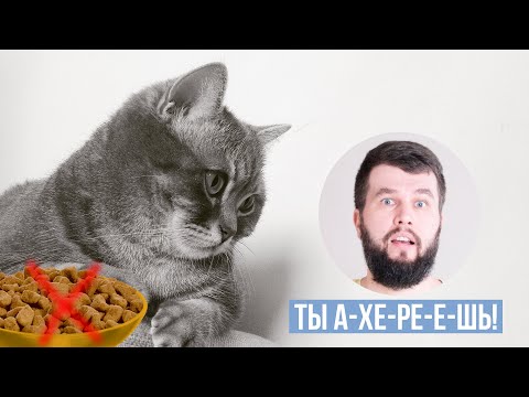 Видео: Обратная сторона рынка сухих кормов | Большой выпуск