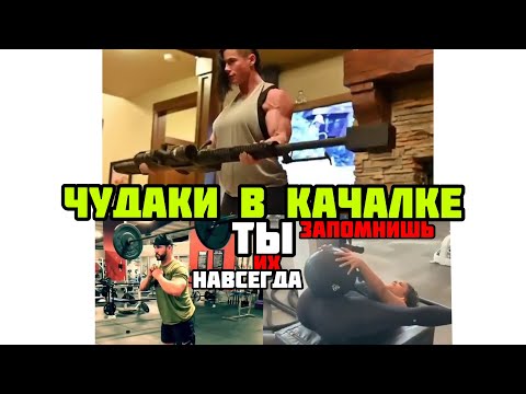 Видео: МЕМные ЧУДАКИ в КАЧАЛКЕ | безумные ПРИКОЛЫ в СПОРТЗАЛЕ