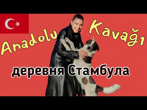 Видео: Непременно посетите Стамбулскую деревню. Турция 2022.