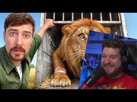 Видео: Я Спас 1000 Животных От Гибели | РЕАКЦИЯ НА MrBeast