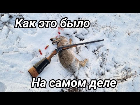 Видео: Охота на зайца с двустволкой ИЖ-58 16 калибра. Как это было