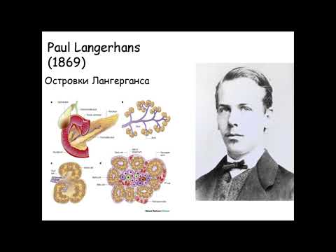 Видео: Сахарный диабет.