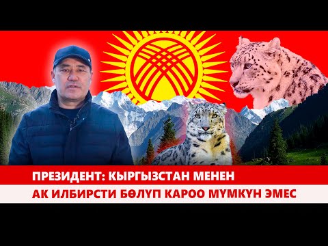 Видео: Президент: Кыргызстан менен ак илбирсти бөлүп κарοο мүмкүн эмес