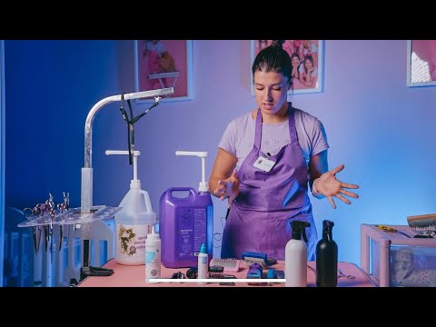 Видео: Какие инструменты нужны  для практики к МК по породе "Мальтипу"