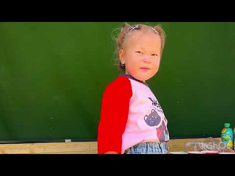 Видео: Тоодо эс алуу