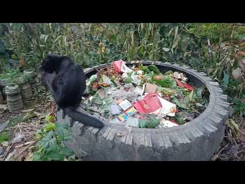 Видео: В чём фишка компоста от Степана Михайловича.
