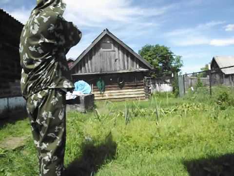 Видео: Пневматический пистолет МР-654К. Стрельба охотничьей дробью 00.