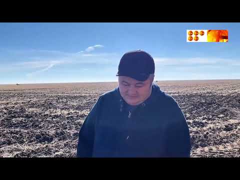 Видео: Даулы оқиға: Жылқы ату ісінің астарында не жатыр?
