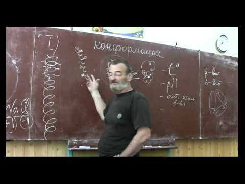 Видео: Драконоведение. Часть 35