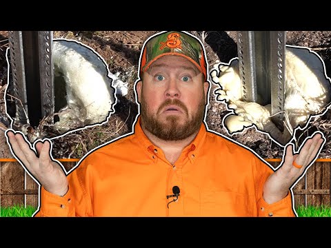 Видео: Лучший пенный столб для забора: Sika Pro Select, Postloc и бетон