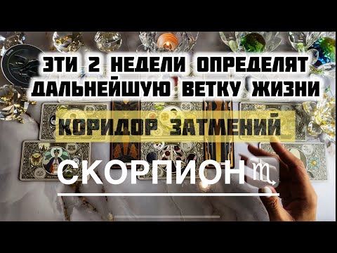Видео: Скорпион ♏️ 8 - 21 сентября 2025! Таро и Астропрогноз на коридор затмений 