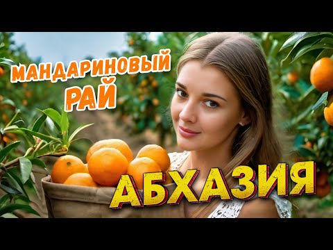 Видео: АБХАЗИЯ АЛАХАДЗЫ Мандариновый рай #абхазия  #всеосочи