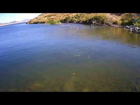 Видео: Zetrix Exilon EXT 702mh ОБЗОР , ТЕСТ и многое другое